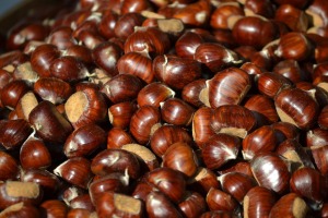 chestnuts-1400592_1920